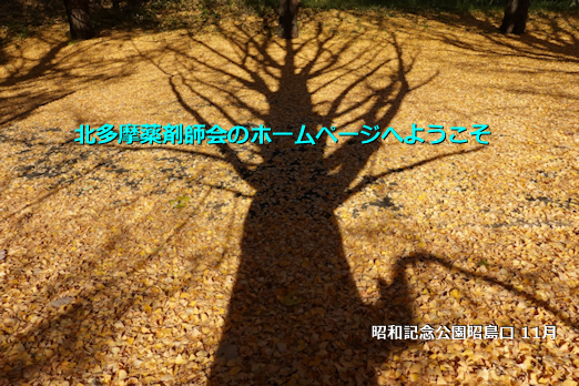 昭和記念公園昭島口 11月 昭和記念公園昭島口 11月